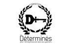 logo-determines